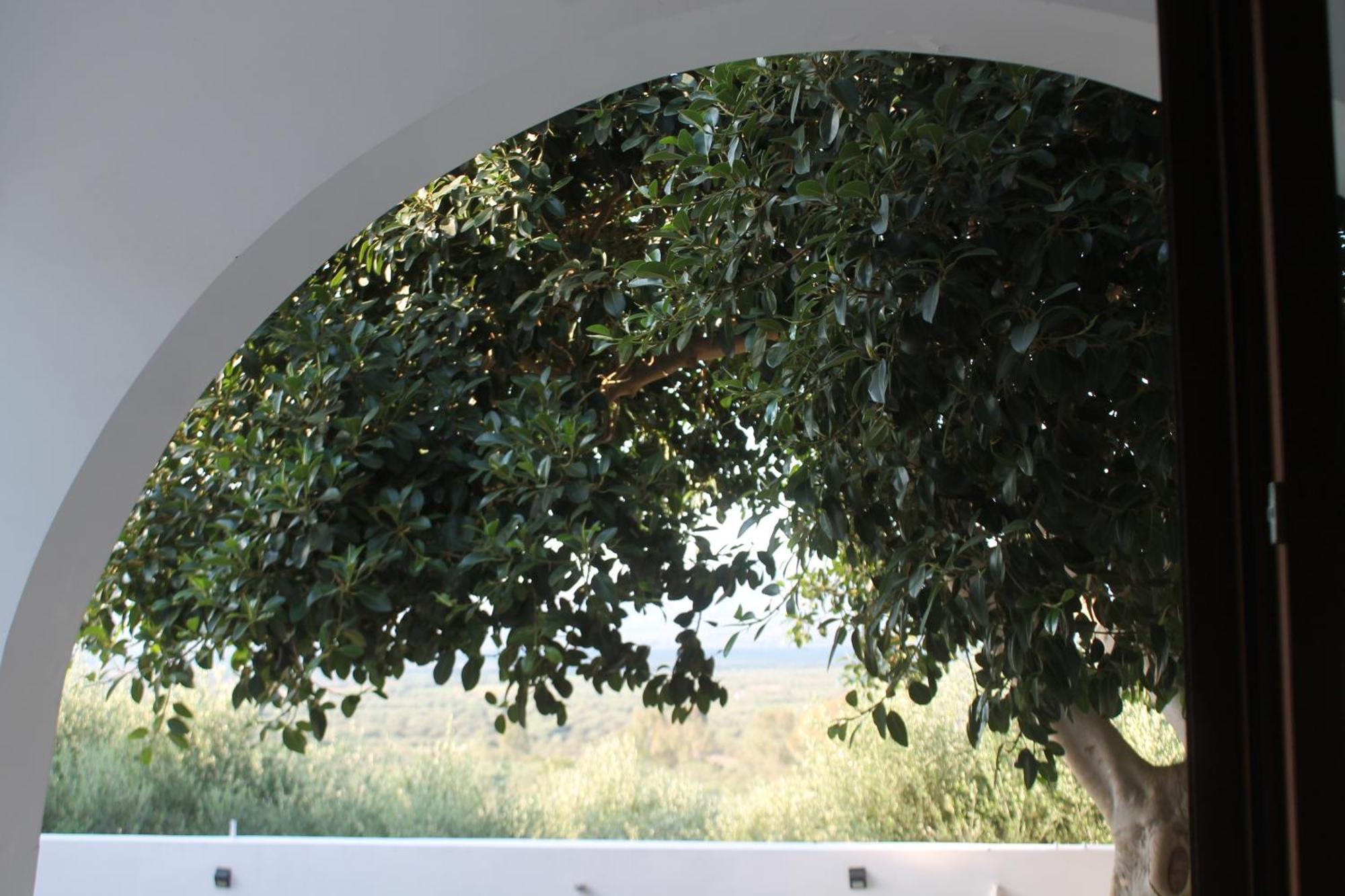 A Crystal Clear House In Pyrgos, Heraklion Crete Pirgos  外观 照片
