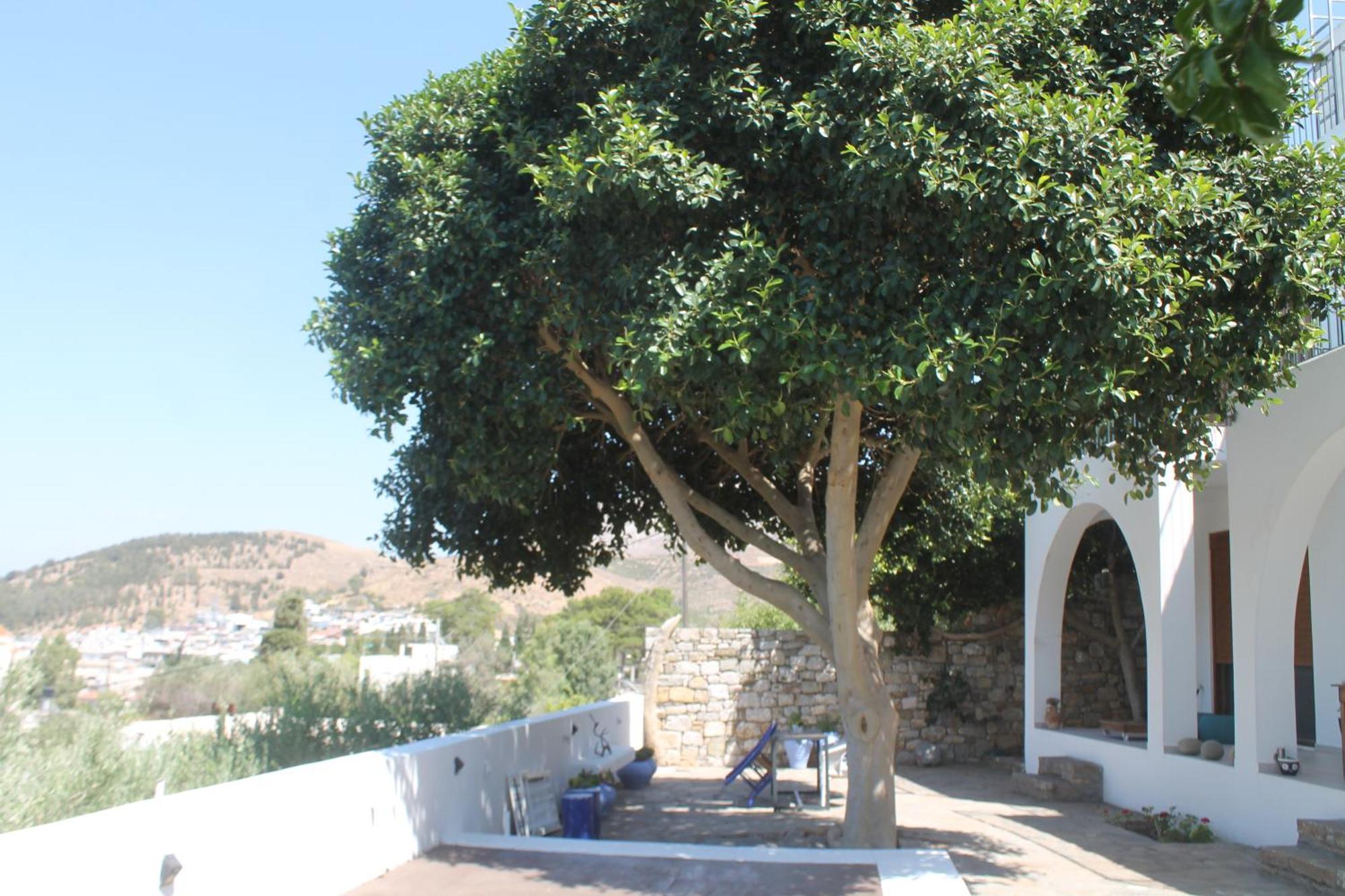 A Crystal Clear House In Pyrgos, Heraklion Crete Pirgos  外观 照片